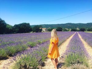 Photo réalisée dans un champ de lavande en Provence