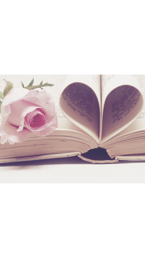 rose posée sur un livre coeur
