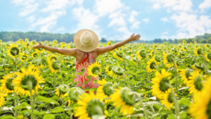 Femme qui ouvre les bras dans un champ de tournesol