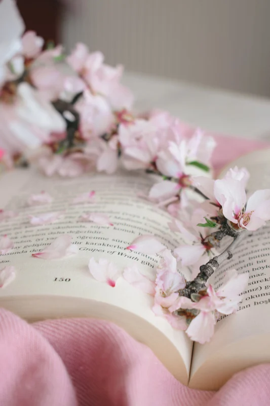 fleurs rose posées sur un livre
